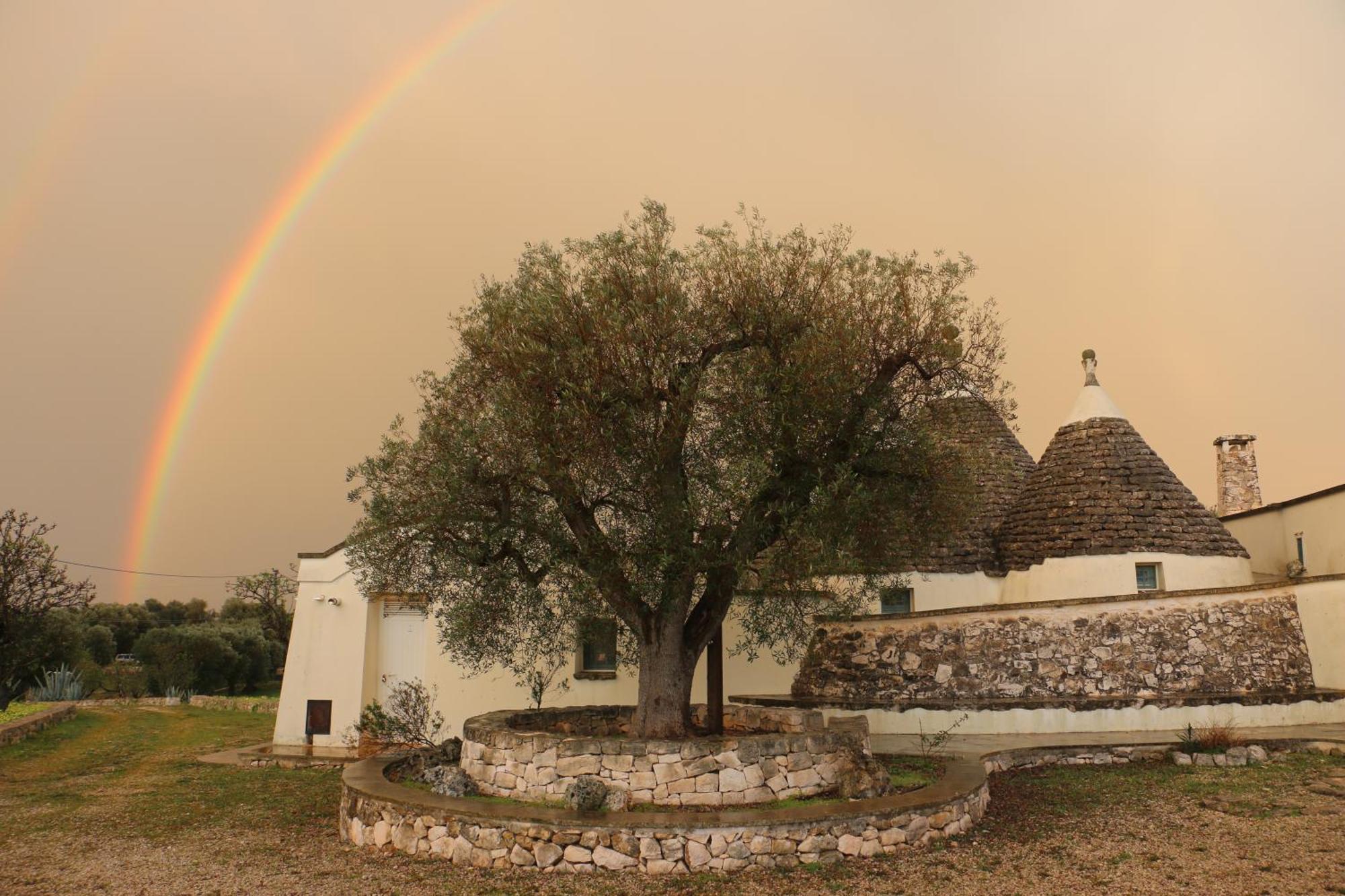 Villa 4 Trulli, Sea View, Vista Mare, Isolata ออสตูนี ภายนอก รูปภาพ